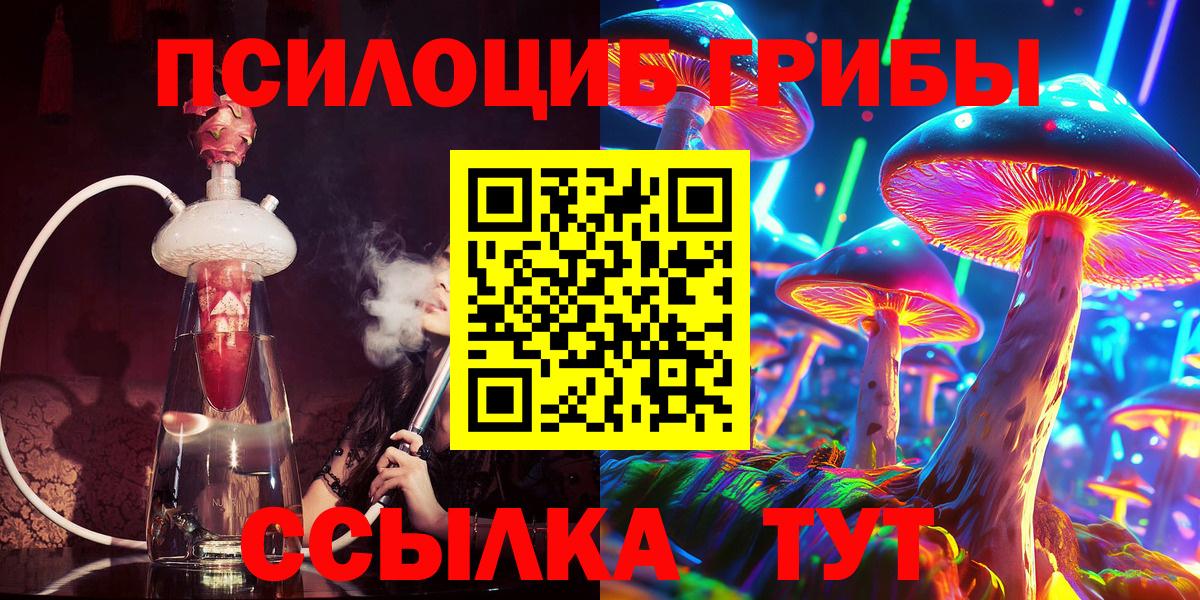Галлюциногенные грибы Psilocybe Новотроицк